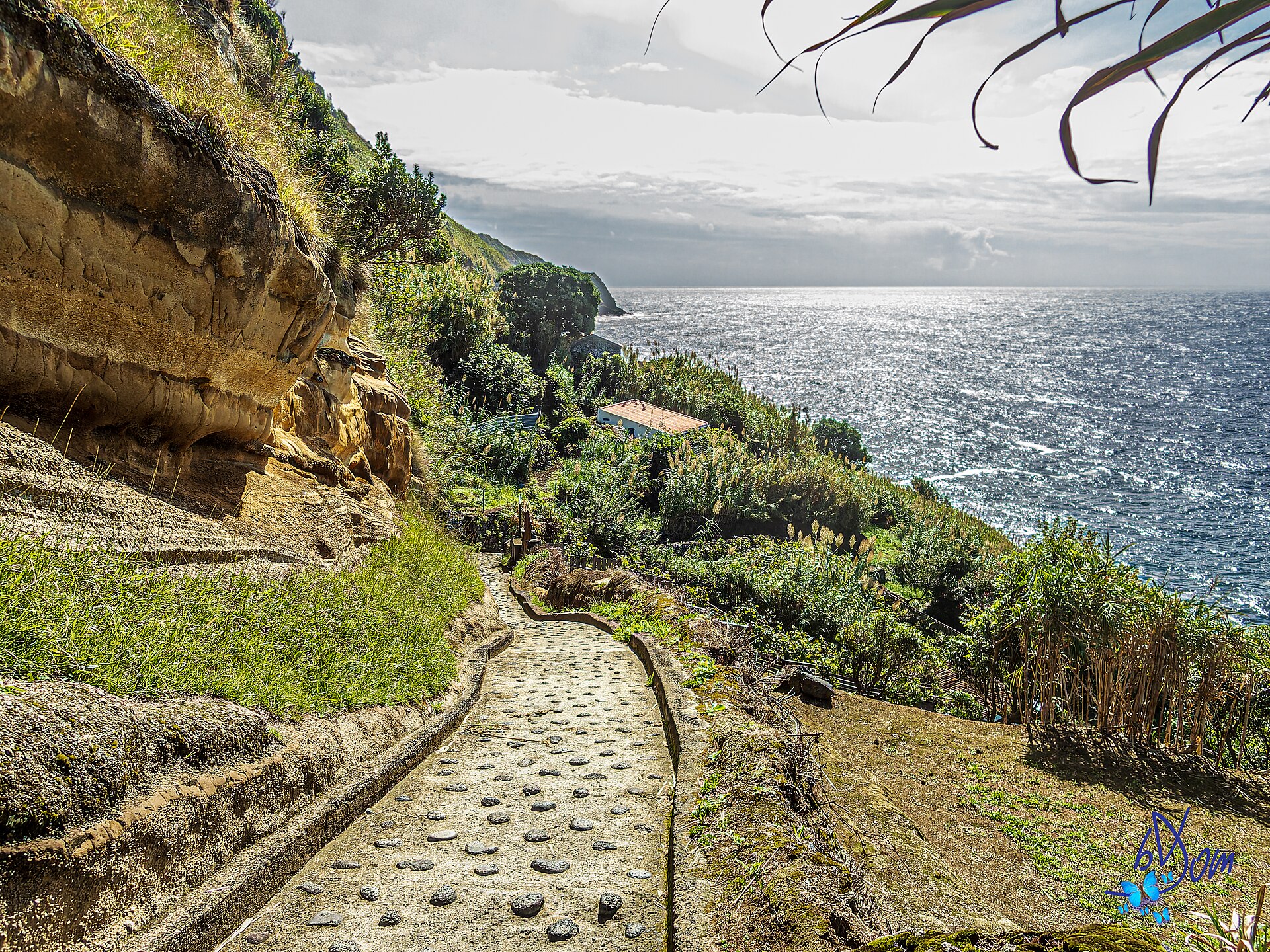 Best Hikes in São Miguel: Difficulty, Time & Practical Notes