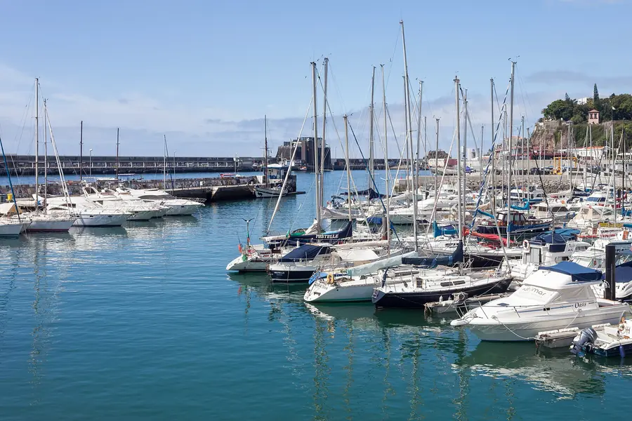 Best Viewpoints in Madeira Island: Area-by-Area Guide