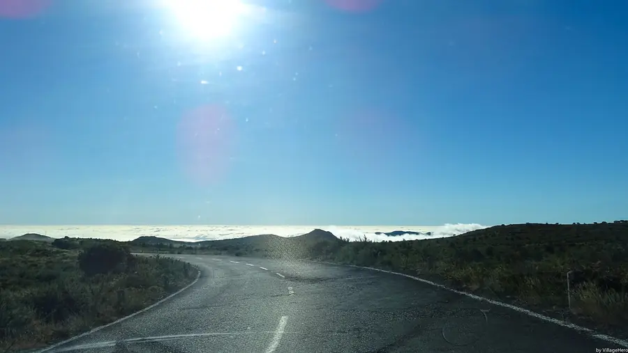 Autofahren auf Madeira: Steile Straßen, Tunnel & Parkplatz-Guide