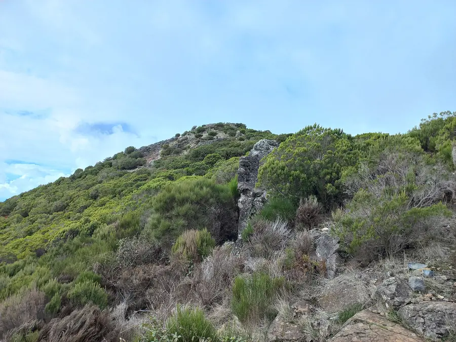 Levada Walks in Madeira Island: Easy vs Demanding Routes