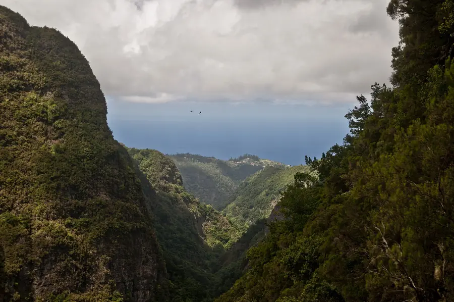 Levada Walks in Madeira Island: Easy vs Demanding Routes