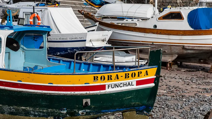 Rainy or Hot Days in Madeira Island: Indoor Ideas & Slow Plans