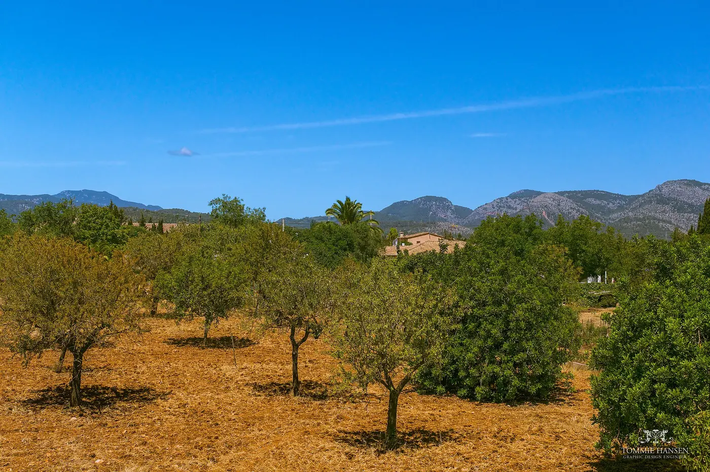 Best Time to Visit Mallorca: Month by Month Guide