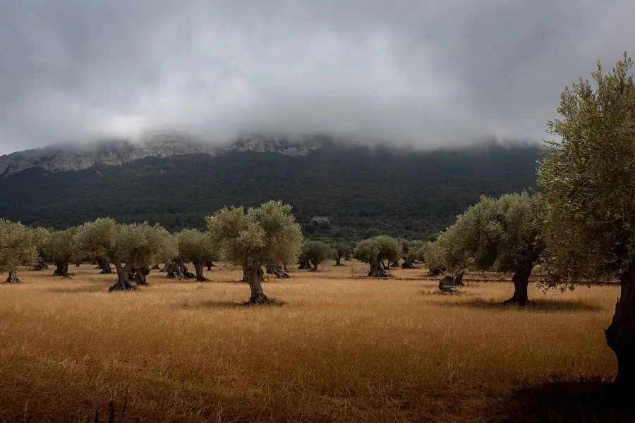 Best Time to Visit Mallorca: Month by Month Guide