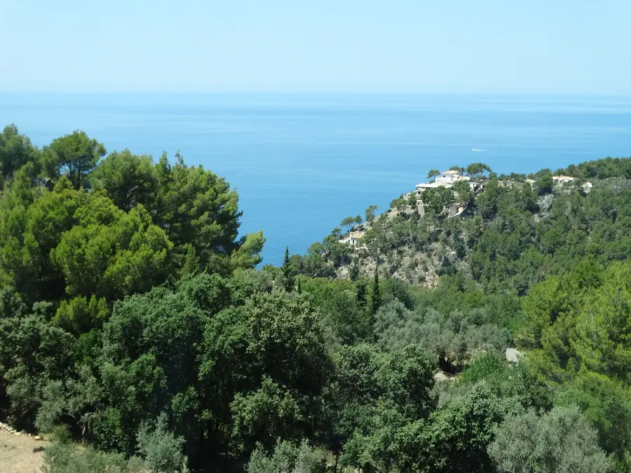 Itinerario de 5 días por Mallorca: más allá de lo obvio con días tranquilos