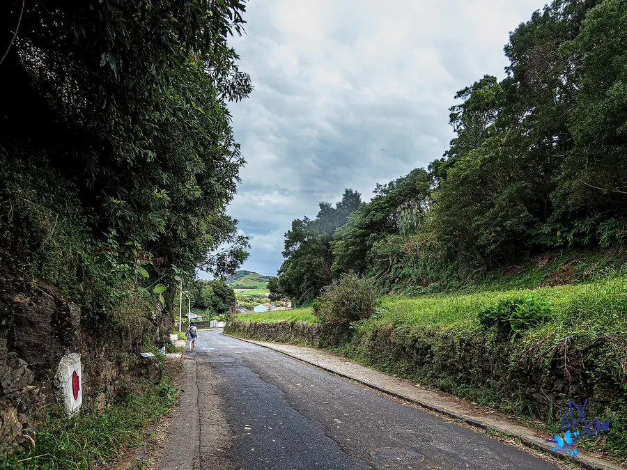 Avez-vous besoin d'une voiture de location à São Miguel ? Comment se débrouiller sans
