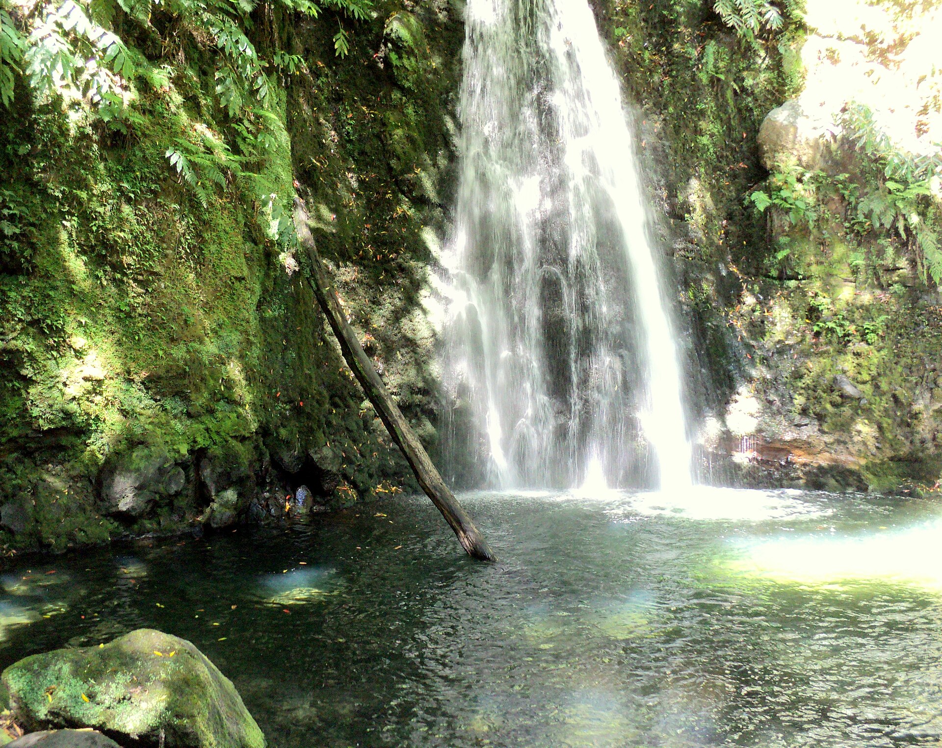 São Miguel Waterfalls: Easy Roadside to Hike-In